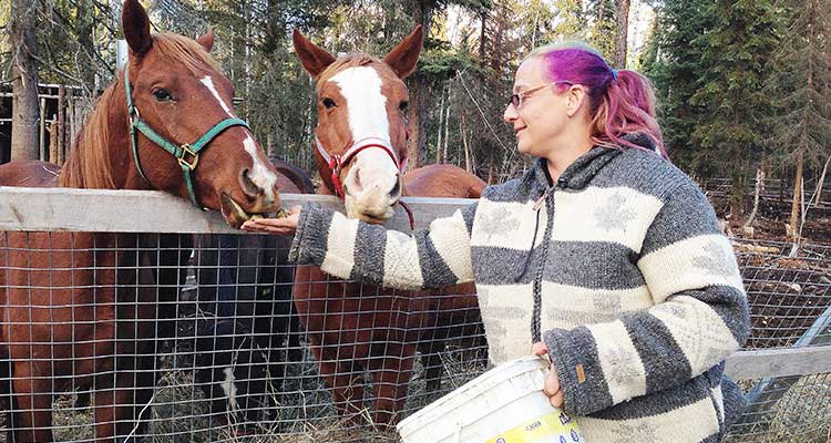 Alicorn Stables a unique northern business