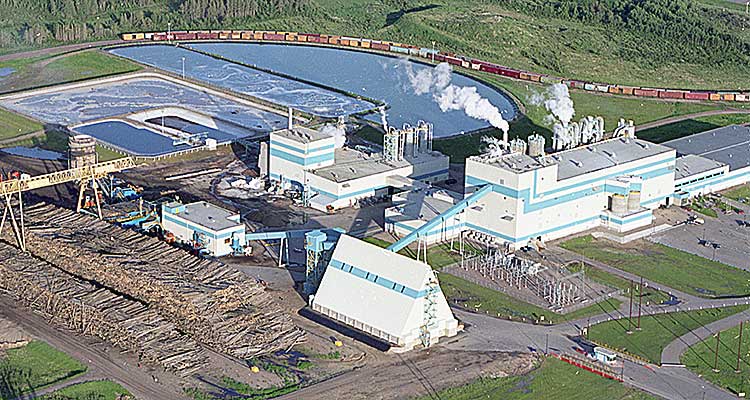 Pulp mill layoffs possible: VP