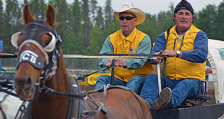 Gorst takes first WPCA title