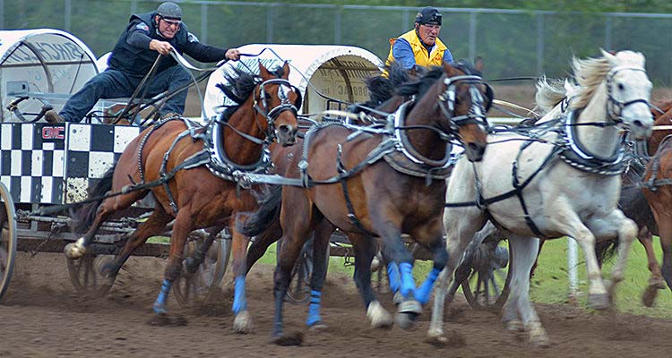 Gorst primed for WPCA finals