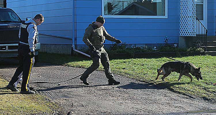 Police arrest dangerous offender