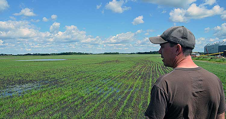 A field of streams for farmers