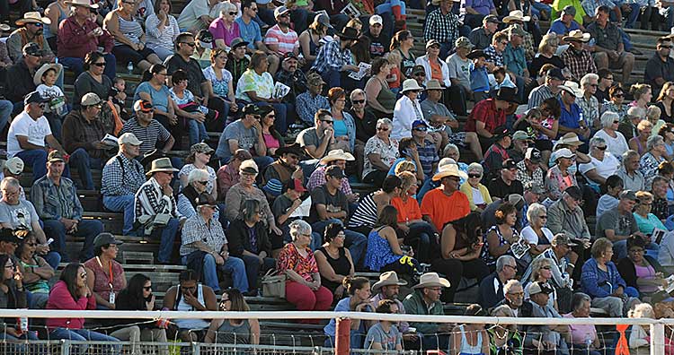 Stampede Grounds to stay