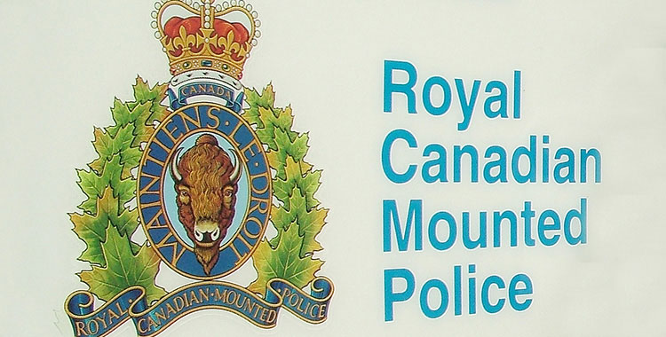 Arrests made following several firearms incidents in Meadow Lake