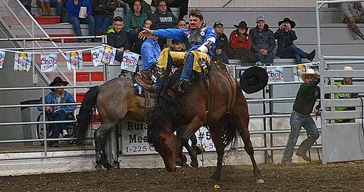 Stampede Week shines for 99th time