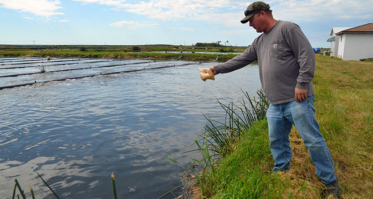 City to sell water system