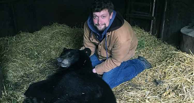 Bear rehab on hold