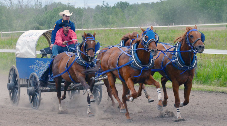 Outrider transitions to wagon driver