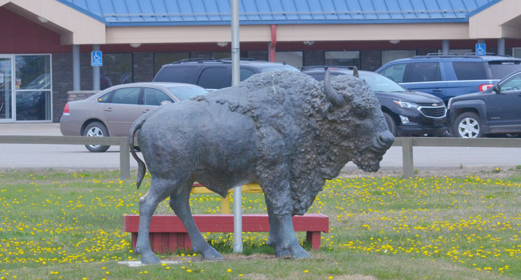 Buffalo Narrows election overturned