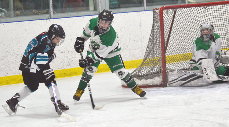 Minor hockey practices continue