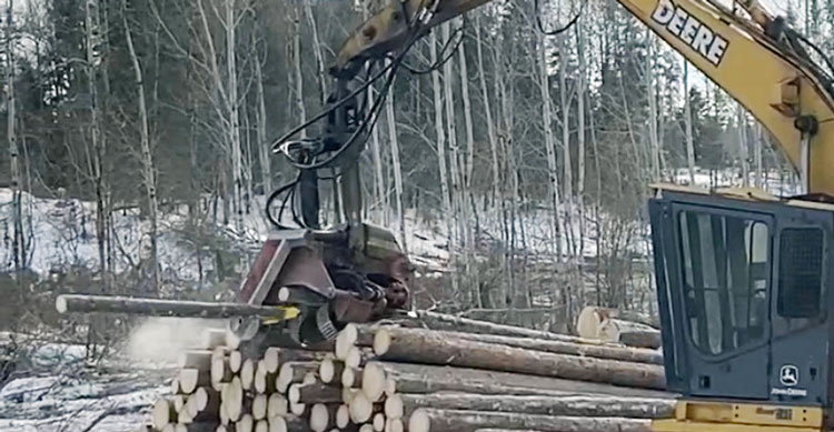 Park forest harvesting begins