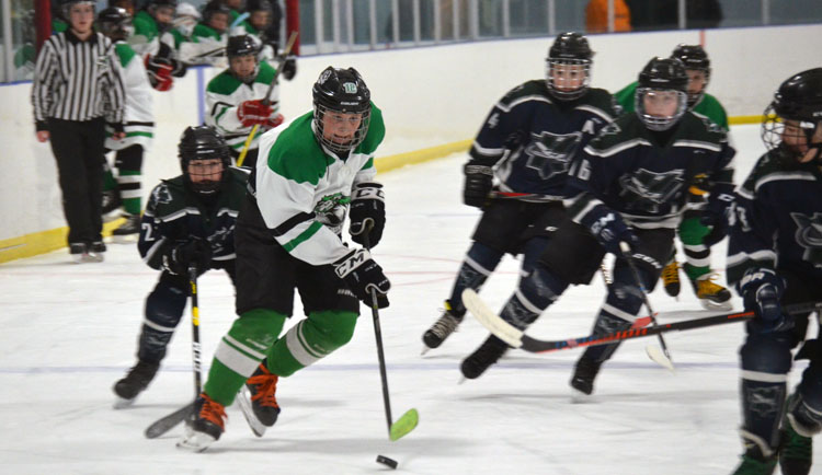 Ice time is limited for minor hockey