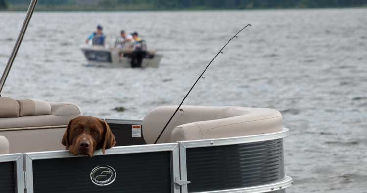 Elks fish derby returns June 11 and 12