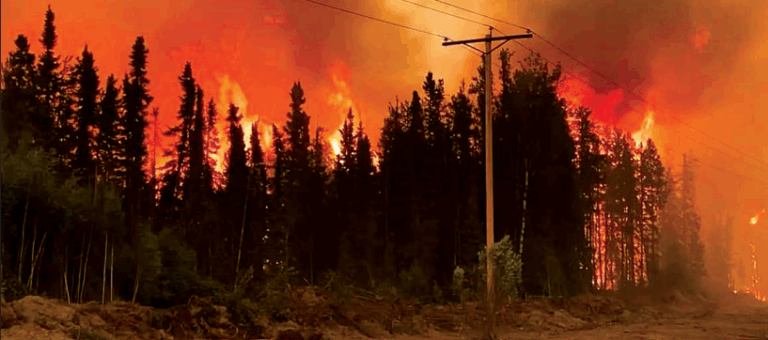 MLA calls on province tohave better wildfire plan in place
