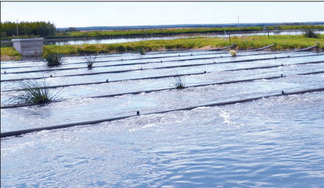 Residents voice concern over lagoon delay