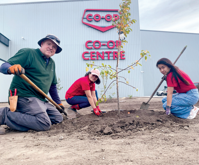 Home Hardware, volunteers plant trees outside Co-op Centre