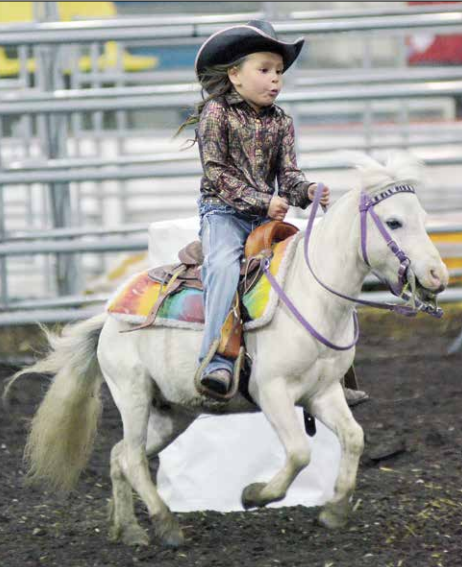 City supports return of annual Meadow Lake Stampede