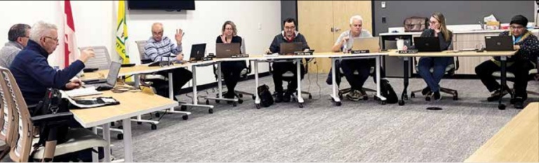 Pool roof in need of repair