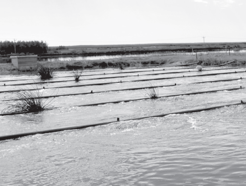 Lagoon cleanup gets green light