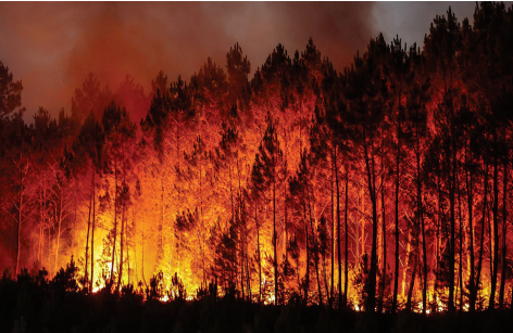 Feds provide update on Canada’s 2026 wildfire season
